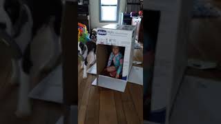 Jocelyn cardboard box