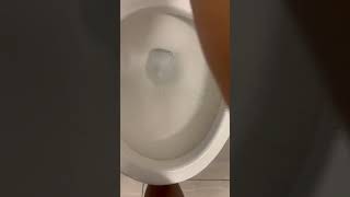 575: stupidly powerful zurn toilet at Target Mission, Tx 78572