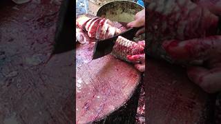 Amazing Big Cargo Cup Fish Cutting Skills | BD fish cutting | #fishing #fishcutting