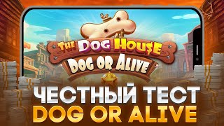 🐩 THE DOG HOUSE DOG OR ALIVE 🐶 БОЛЬШАЯ ПРОВЕРКА СЛОТА . Рядовой Додепов . Dog or Alive RTP Слота