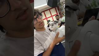 Robot wala dog 🐶🐕 #shorts #ytshorts #trending #viral #funny #sourajoshivlogs