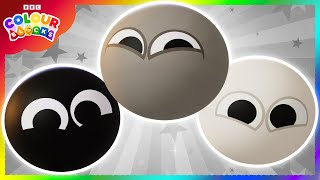 Mystery Colours: Discovering Black, White, and Grey | Kids Learn Colors | Colourblocks