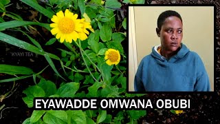 Eyalisa Omwana Bbi Obubi Bamusalidde Emyaka 35 Abakyala Mufunemu Enkyokuyiga