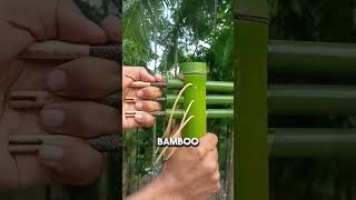 The Most INSANE Bamboo Slingshot 😱 #shorts #funny