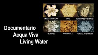 Documentario Acqua viva, Living Water di Guido Ferrari