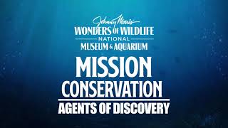 Wonders of Wildlife & Agents of Discovery