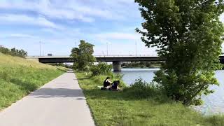 جولة على الدراجة على ضفاف نهر الدانوب في العاصمة النمساوية فيينا 🇦🇹🚴‍♂️🌲 Donaukanal