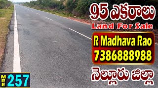 Highway Bit  -  95 Acres For Sale - Nellore District - MedhanshiRealEstate - 7386888988 - MRE - 257