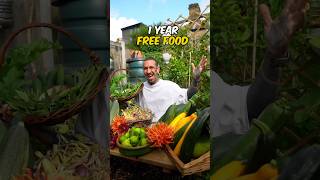 1 Year Growing Food in London #shorts