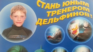 Стань юным тренером дельфинов!🐬🐬🐬🐬