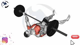 how to Barbell Floor Chest Press Chest |  middle chest