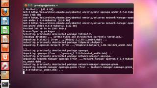 PrivatVPN - How to install Network Manager (Linux Ubuntu)