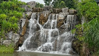 SINGAPORE:Yunnan Garden