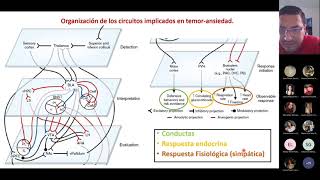 Neurobiología Temor, la Ansiedad y el Estrés