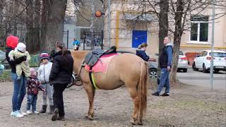 Московская весна 2018