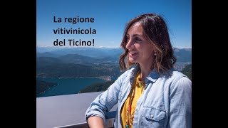 La regione vitivinicola del Ticino