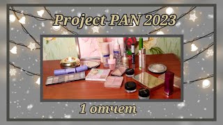 Project PAN 2023 // 1 отчет