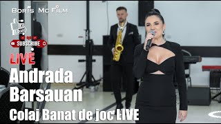 Andrada Barsauan - Colaj Banat || Colaj de petrecere || LIVE || NOU