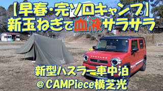 【早春・完ソロキャンプ】新玉ねぎで血液サラサラ 新型ハスラー車中泊@CAMPiece横芝光