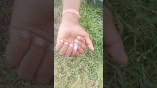 #4finger #hand #finger #shortvideo #ytshorts #trendingreels 4finger #challenge #shortvideo