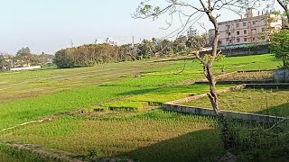 Bangladeshi Train Journey