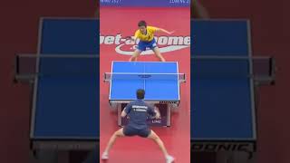 Tomokazu Harimoto vs Dimitrij Ovtcharov insane speed