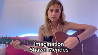 Imagination Shawn Mendes (cover Nastya Glada)