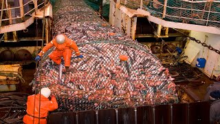 Amazing Big Catching on The Sea - Awesome Catch Hundreds Tons of Fish With Giant Fishing Net