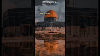 এক একটা বুলেটের হিসাব নিব ইনশাল্লাহ #palestine #abutohamohammadadnan  #shorts #islam #freepalestine