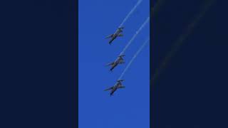 Thrilling Stick Formation Barrel Roll: Triplane Synchronization #short #shorts