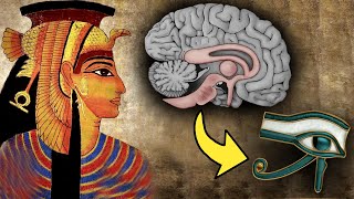 El Tercer Ojo La Glandula Pineal  El Mayor Encubrimiento en la Historia Humana