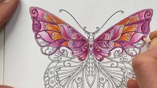 LIVE COLOURING - BUTTERFLY GREETINGS CARD