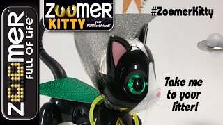 Zoomer | Zoomer Kitty | Take Me To Your Litter