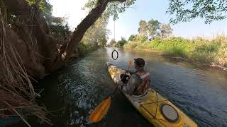 Kayaking on Ping River, Northern Thailand and remove dangerous obstacle