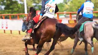 Copa Cheo Hernandez Prisco