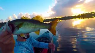 Okeeheelee Equestrian Park Fishing 7-4-17