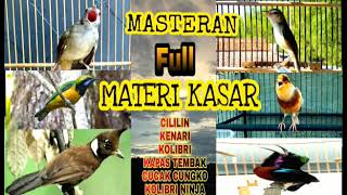 MASTERAN MEWAH MATERI KASAR | masteran mewah murai batu