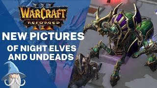 New Pictures of Undead and Night Elf Units | Warcraft 3 Reforged Beta