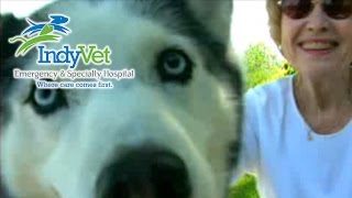 IndyVet TV Commercial