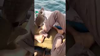 lovely#fish#catching#youtubeshorts