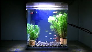 Nano Bending Fish Tank Xilong xq-230aa || Aquarium Bending Mini