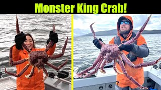 Monster King Crab! Alaskan King Crab While Halibut Fishing - Juneau, Alaska! APRIL 2024