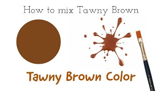 Tawny Brown Color | How to make Tawny Brown | Colour Mixing