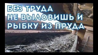 Без труда не выловишь и рыбку из пруда.