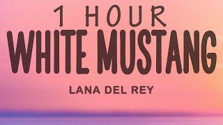 Lana Del Rey - White Mustang | 1 hour