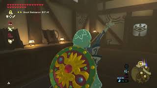 Part 42 Ganon The Legend of Zelda Breath of The Wild | Master Mode All DLC Walkthrough