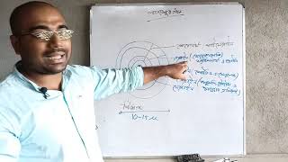 4. পরাগরেণুর গঠন biology Class12 Ch2