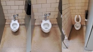 1190: WSU - Kohler Fixtures - Purdy-Kresge Library Men's Restroom 🚹