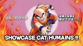 SHOWCASE CATÉGORIE HUMAINS !!! #DOKKANBATTLE #KRILIN