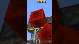 minecraft parrot 🦜 new hack funny moment  #short #shortfeed #minecraftshorts #parrot